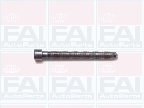 Cylinder Head Bolt Set
